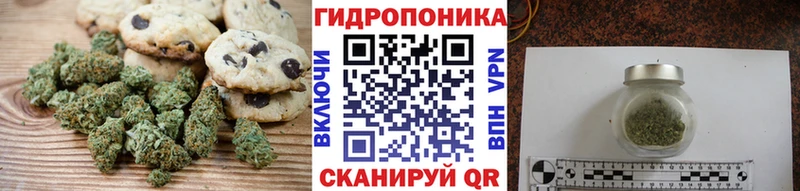 Cannafood конопля  Купить где  Заинск 