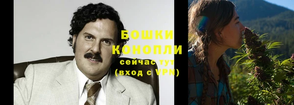 трава Каменногорск