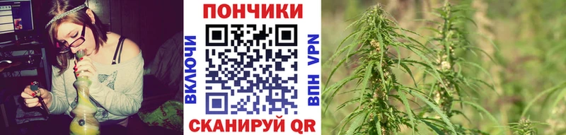 Бошки марихуана MAZAR  Купить закладки  Заинск 
